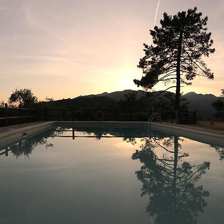 Agriturismo Il Pino San Martino in Freddana Dış mekan fotoğraf